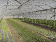 Transmission et reconversion réunies