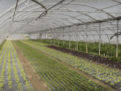 Transmission et reconversion réunies