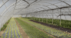 Transmission et reconversion réunies