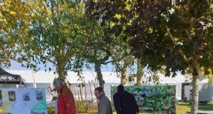 L’adaptation : un travail de précision