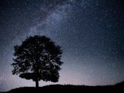 Candidats pour les étoiles en Périgord-Limousin