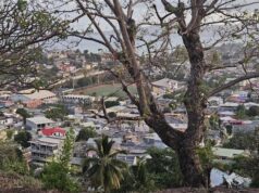 Mayotte. Une situation pensée, et pansée, depuis le Périgord