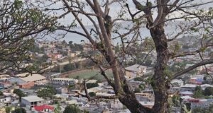 Mayotte. Une situation pensée, et pansée, depuis le Périgord