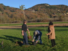 Auprès de mon arbre…