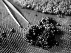Caviar de Neuvic fait ses gammes