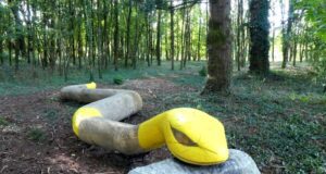 Un parcours de légende(s)