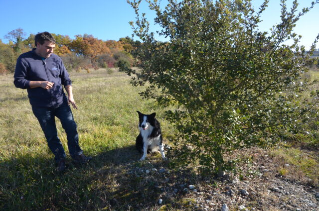 Alain Klemeniuk président de la fédération des trufficulteurs de Dordogne Archives HC