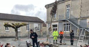 Verdir les écoles et les esprits enfants autour de la plantation d'un arbre dans l'école