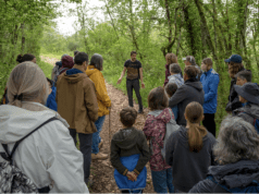 Sur les sentiers de la diversité