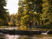 L’attractivité, sans faute