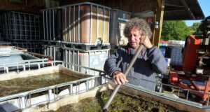 Une fête pour défendre l’ortie Jean-françois lyphout fabricant de purins de plantes et d'orties également président national de l'association aspro-pnpp qui se bat pour l'utilisation des plantes pour les soins en agriculture