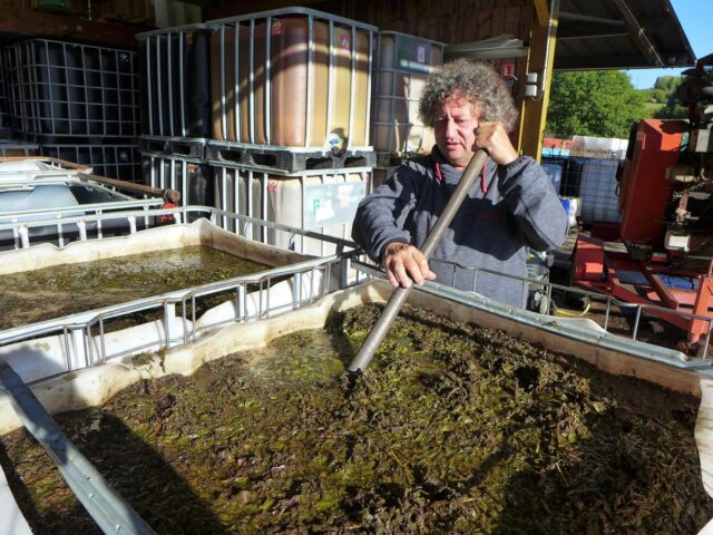 lyphout purin d'ortie Jean-françois lyphout fabricant de purins de plantes et d'orties également président national de l'association aspro-pnpp qui se bat pour l'utilisation des plantes pour les soins en agriculture