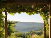 Destination montante pour l’immobilier de luxe