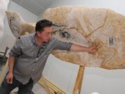 Alain Dalis, faussaire de la Préhistoire Dans l'atelier Dalis, pour la grotte de Chauvet