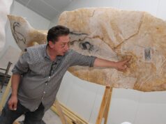 Alain Dalis, faussaire de la Préhistoire Dans l'atelier Dalis, pour la grotte de Chauvet