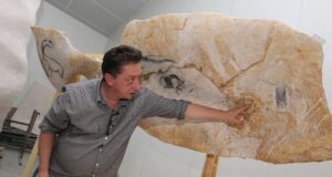 Alain Dalis, faussaire de la Préhistoire Dans l'atelier Dalis, pour la grotte de Chauvet