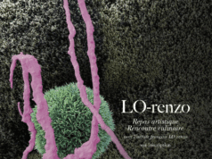 L’Islande, l’autre jardin de LO-renzo