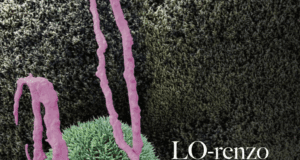 L’Islande, l’autre jardin de LO-renzo