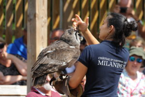 Complicité et affection entre le Hibou grand-duc de Verreaux et la fauconnière