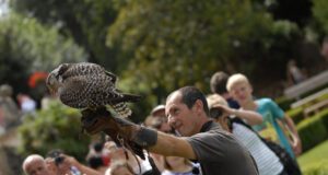 Un livre « attire-d’aile » sur la fauconnerie Patrick Mercier échange avec le public. La vocation des fauconniers est aussi pédagogique.