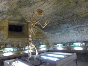 Son petit musée avec des pièces surprenantes
