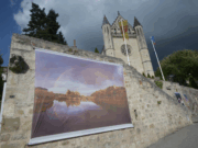 Jérôme Hutin, mémoire des arbres