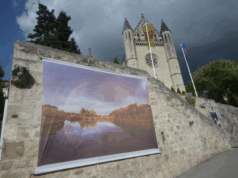 Jérôme Hutin, mémoire des arbres