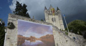 Jérôme Hutin, mémoire des arbres