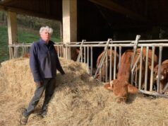 Être vachère en 2025, un métier et une passion