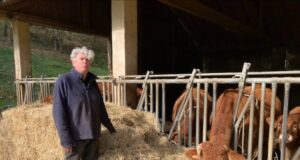 Être vachère en 2025, un métier et une passion