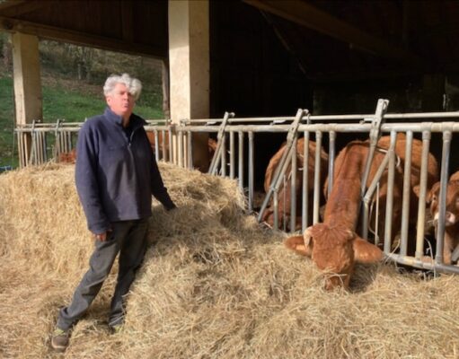 Être vachère en 2025, un métier et une passion