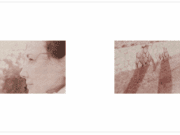 Un livre comme une deuxième naissance