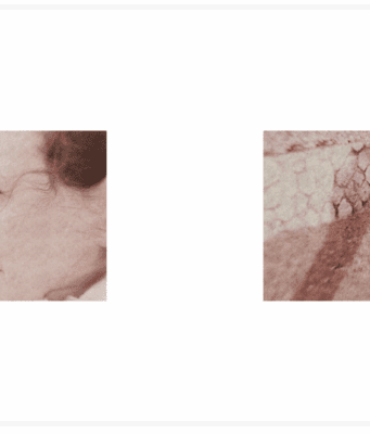 Un livre comme une deuxième naissance