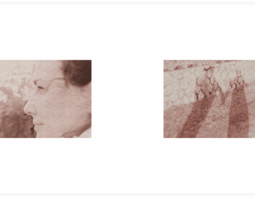 Un livre comme une deuxième naissance