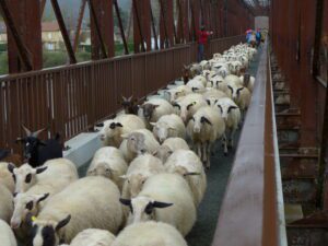 Passage en rangs serrés sur le pont du Garrit