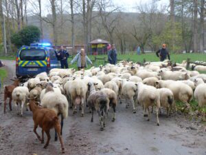 Un déplacement sécurisé par les gendarme