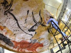 Lascaux repart aux États-Unis La nouvelle rotonde des taureaux fabriquée à l'AFSP à Montignac