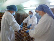 Le fromage du monastère distingué L'affinage des fromages est réalisé dans les caves près du monastère