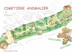 Un fil à la patte pour l’éternité