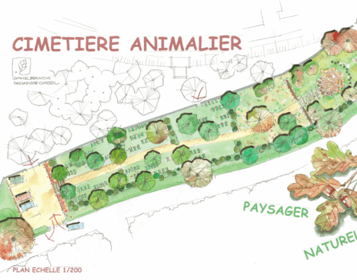 Un fil à la patte pour l’éternité