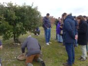 Comment moderniser la trufficulture Découverte d'une truffière par le groupe d'étude espagnol et portugais