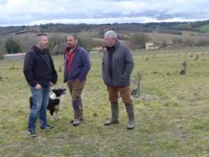 Johan Sees, Fabien Barbary et Serge Sauve sur la truffière