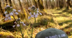 Pas par quatre chemins