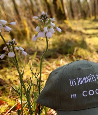 Pas par quatre chemins