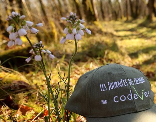 Pas par quatre chemins