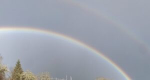 Les Patrimoniales de la vallée du Salembre : un élan collectif