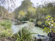 Des photographes révélateurs Frédérique Bretin - Territoires refuges - 2024-2025