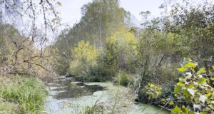 Des photographes révélateurs Frédérique Bretin - Territoires refuges - 2024-2025