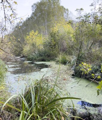 Des photographes révélateurs Frédérique Bretin - Territoires refuges - 2024-2025
