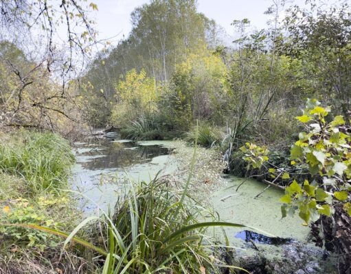Des photographes révélateurs Frédérique Bretin - Territoires refuges - 2024-2025